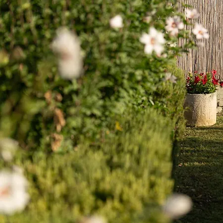 Cappannelle Tuscany Castiglion Fibocchi