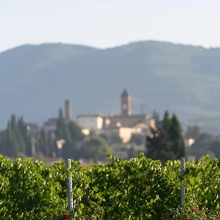 Cappannelle Tuscany Feriehus