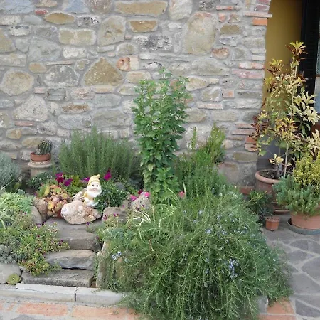 Cappannelle Tuscany * Castiglion Fibocchi